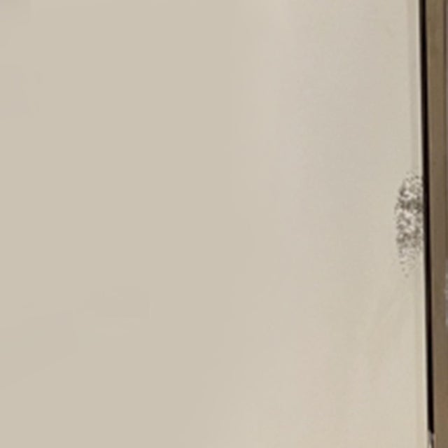 Large Triptych Wall Mirror from Miroir Brot, 1920s For Sale - Image 6 of 8