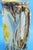 20th Century Cubist Anthropomorphic Vase attributed to Guido Gambone for Cas Solimene Vietri, 1940s For Sale - Image 15 of 18