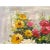 Experience the vivid beauty of our Impasto Oil Paint Canvas Art featuring a breathtaking depiction of delicate Blossom...