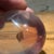 1980s Vintage Sculpture of a Lucite in the Shape of an Egg Golden Pyramid Vasa Era For Sale - Image 5 of 15