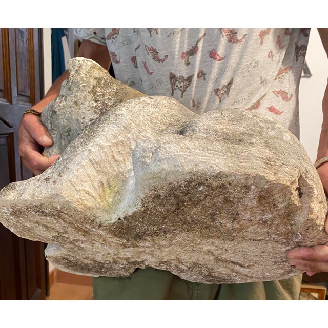 Large Owl Garden Ornament in Reconstituted Stone, 1950s For Sale - Image 11 of 13