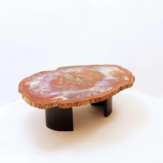 Red Arizona Petrified Wood Coffee Table For Sale - Image 6 of 16