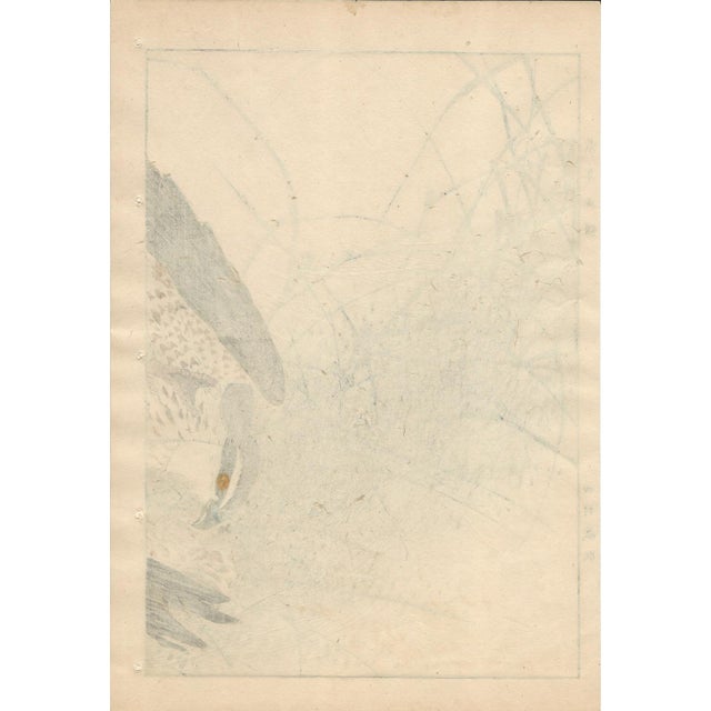 Imao Keinen, Eurasian Goshawk, 1892, Print For Sale - Image 14 of 18