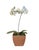 English Vintage Hand Painted Potted Tole Orchid Floral Arrangement / Flower Sculpture / Object For Sale - Image 3 of 9