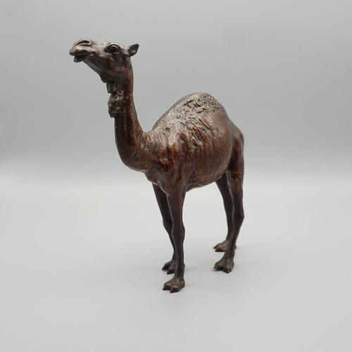 Franz Bergman, Dromedary, 1890s, Bronze For Sale - Image 3 of 10