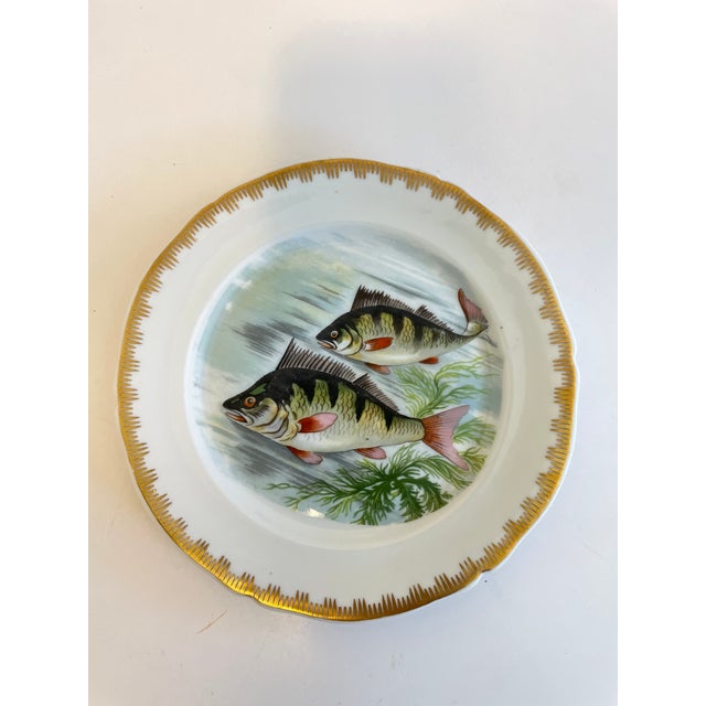 1960s French Limoges Fish Plates and Platter Set of 13 Chairish