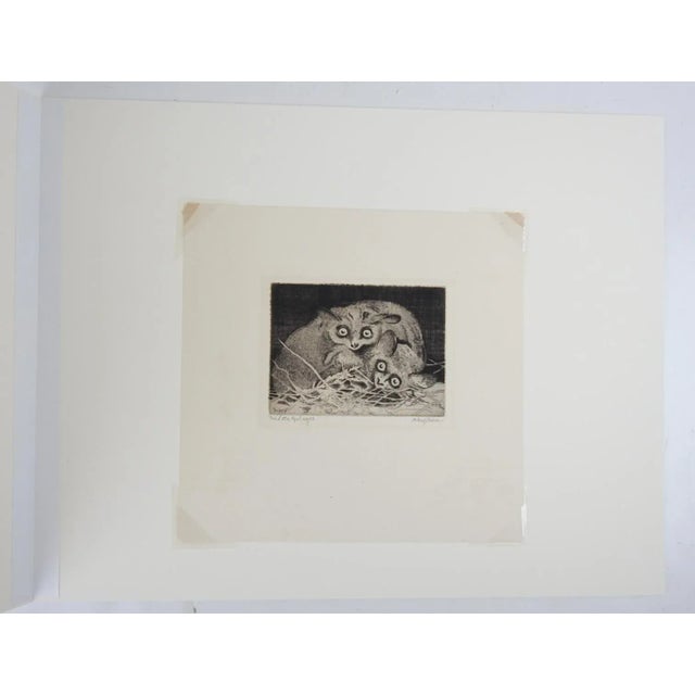 English Early 20th Century Galagos Bush Babies Etching For Sale - Image 3 of 3