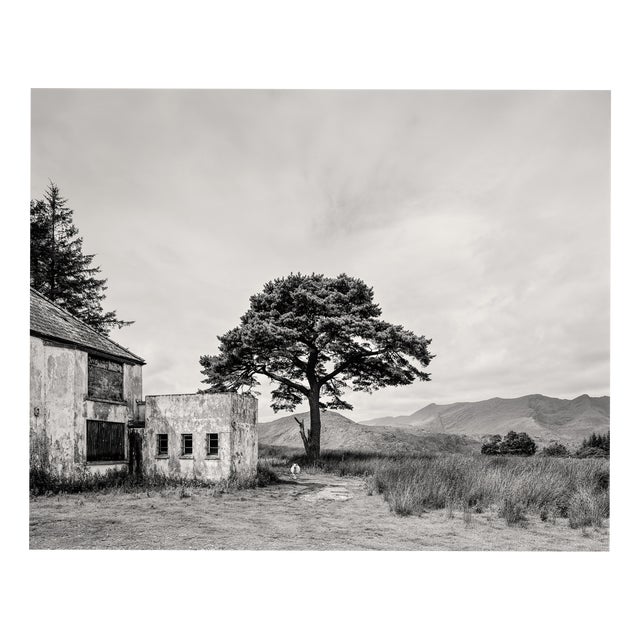 Guy Sargent, Killarney, Archival Pigment Print For Sale