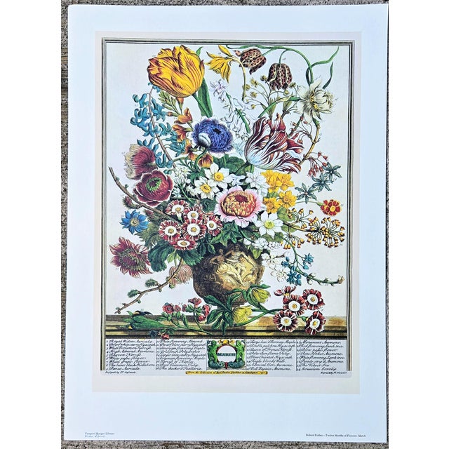 1980s Vintage Robert Furber March Botanical From "Twelve Months of Flowers” Pierpont Morgan Library Print For Sale - Image 13 of 13