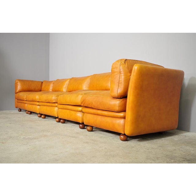 Modular Frau Sofa in Leather, 1970, Set of 5 For Sale - Image 10 of 18