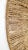 Wall Sculptures Jute Seagrass Wicker For Sale - Image 10 of 13