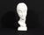 An Art Deco ceramic bust produced by AMACO (American Art Clay Company) of Indianapolis. This bust depicts an elegant woman...