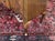 English Chippendale Mahogany Sideboard, 1930s For Sale - Image 13 of 17