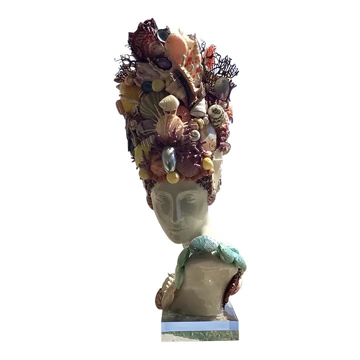 Venus Goddess of the Sea With Natural Collectors Shells Color | Chairish