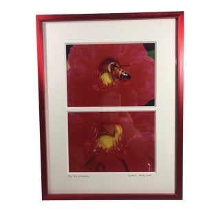 2009 “Bee My Valentine” Botanical Photograph, Framed For Sale