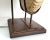 Lamp Plaster Snail Seashell Shell Ammonite Extra Large For Sale - Image 11 of 13