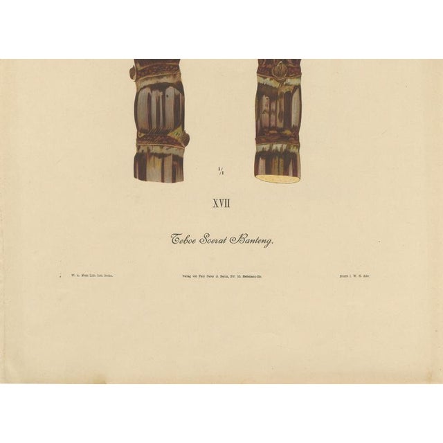 Sugarcane, 1892, Paper For Sale - Image 4 of 10