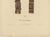 Sugarcane, 1892, Paper For Sale - Image 4 of 10