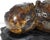 Black Brad Sells Aloha Series No. 38 Mango Burl Bowl on Stand For Sale - Image 8 of 11