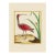 Red Curlew by Martinet Blue and Pink Giclee Reproductions For Sale