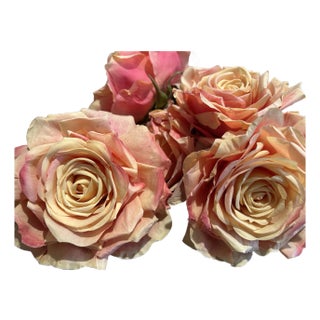 Savannah Peach Roses For Sale