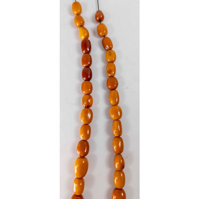 Early 20th Century 20th Century Butterscotch Egg Yolk Amber Prayer Necklace For Sale - Image 5 of 12
