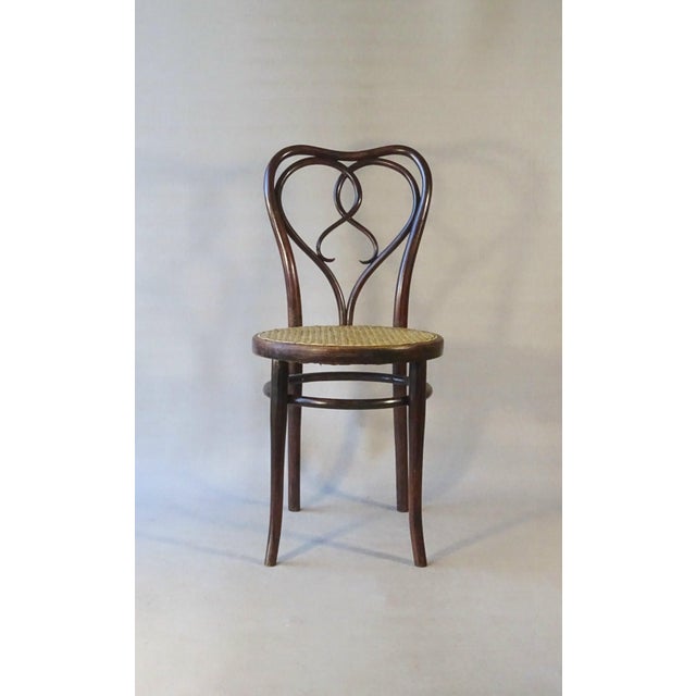 No. 561 Chairs by Michael Thonet for Gebrüder Thonet, 1925, Set of 2 For Sale - Image 3 of 13