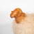 2010s Large Sheep Sculpture by Carlos Villegas For Sale - Image 5 of 8