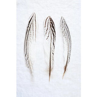 Three Feathers by Trinette + Chris Print, 30" x 45" For Sale