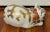 Early 20th Century Antique Japanese Kutani Porcelain Figure of a Sleeping Cat For Sale In New York - Image 6 of 11