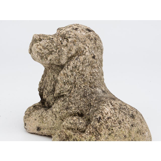 This heartwarming mid-20th century concrete dog spaniel garden ornament exudes an authentic vintage charm that adds a...