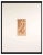Michel Fingesten, Figure of Woman, Woodcut, 1936 For Sale