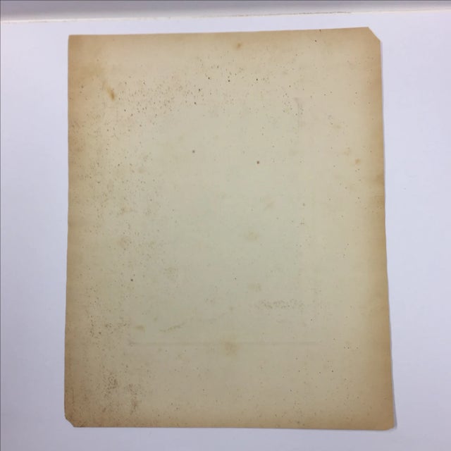 Antique 19th-Century Photograph Portrait of a Girl For Sale - Image 5 of 5