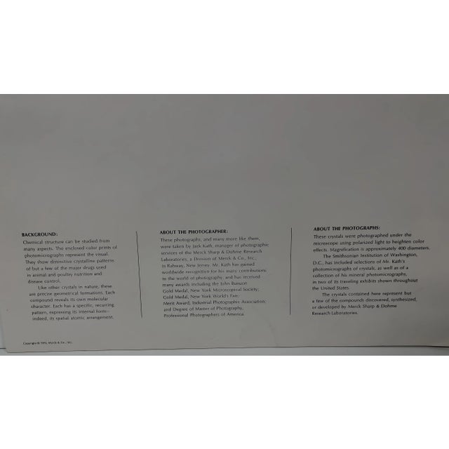 Scientific Photomicrography Prints by Jack Kath Set of 4 For Sale - Image 11 of 12
