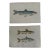 Pair of 19th Century Fish Prints From the Fishes of the British Islands by Jonathan Couch f.l.s. For Sale