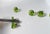 Vintage Swedish Green Glass Knobs, 1960s, Set of 6 For Sale - Image 6 of 11