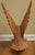 Hand-Carved Single-Piece Figure of an Eagle on Wood Plinth, Circa 1950s For Sale - Image 4 of 14