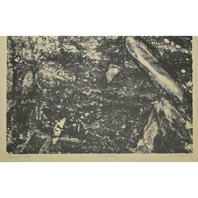 Les Squales is an artwork realized by Jean Dubuffet in 1959. Sheet 9 for the portfolio "Eaux, Pierres, Sable". Lithograph....