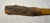 Antique Hand Carved Wood Alligator Folk Art Page Turner Letter Opener Sculpture For Sale - Image 12 of 13