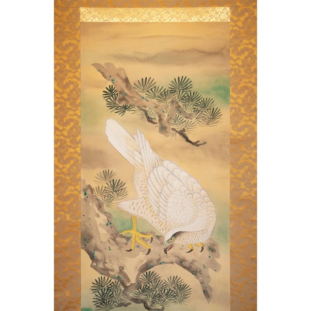 Nishii Shōdō "White Hawk on a Pine Tree", Late Meiji to Early Showa Large Scroll Painting For Sale - Image 4 of 18