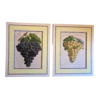 Original and Matted Pair of 19th Century Color Engravings of Grape Varieties. For Sale