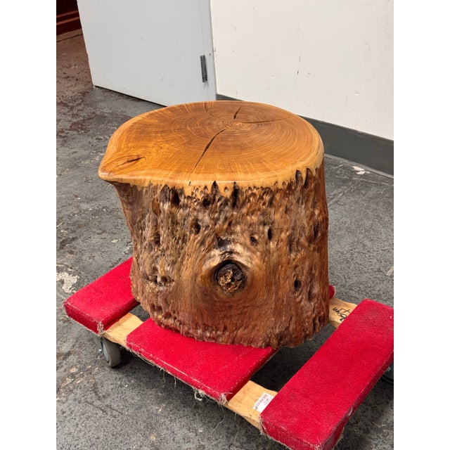 Contemporary Organic Modern Live Edge Tree Side Table/ Stool For Sale - Image 3 of 12