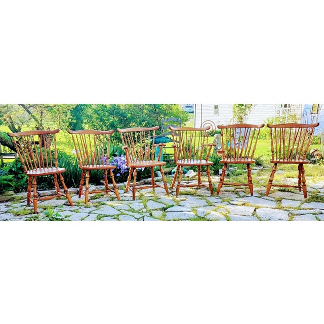 Vintage Maple Brace Backed Windsor Chairs- Set of Six For Sale - Image 13 of 13