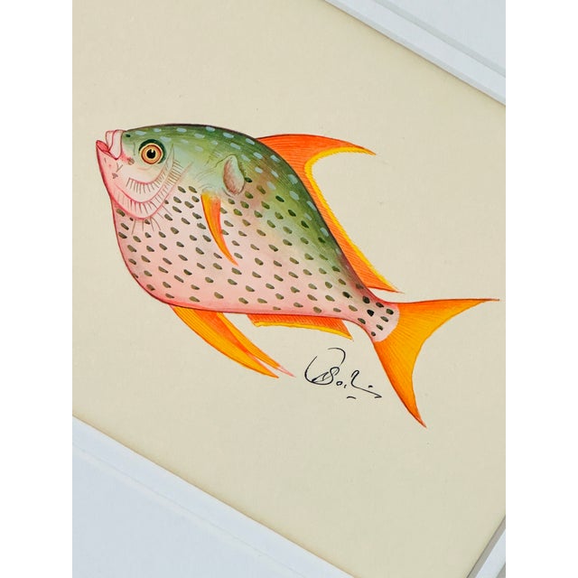 Soft and luminous,, this prettiest hand-painted fish glows in the dreamiest palette — gentle blush pinks melting into...