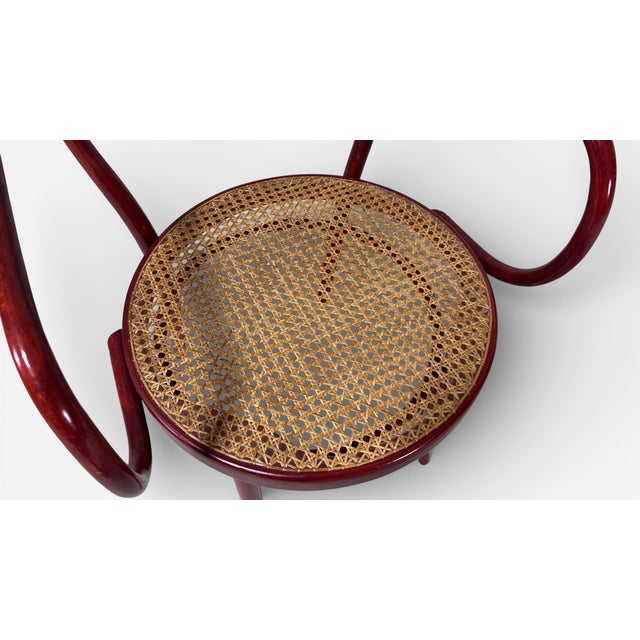 1930s 209 Chair Attributed to Gebrüder Thonet - 1 of 2 No Thonet Label Present. For Sale - Image 12 of 14