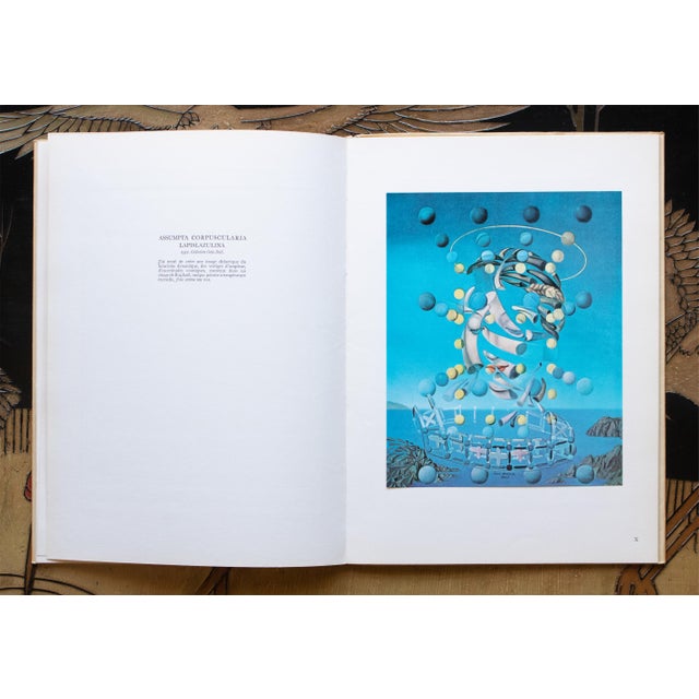 1950s Dalí, 1957 First Edition Portfolio, 16 Full Color Prints From Paris, France For Sale - Image 5 of 18