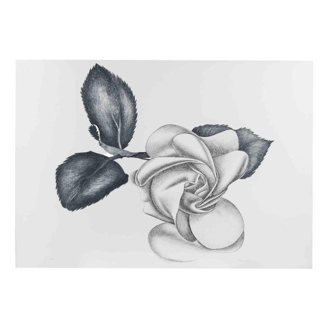 Giacomo Porzano, Black Rose, 1972, Etching For Sale