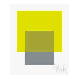The Interaction of Lime Green and Gray Fine Art Print 40" X 50" by Liz Roache For Sale