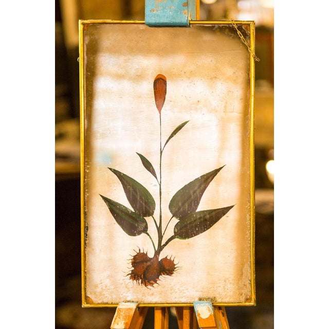 Contemporary Bloom Silver Mirror from Unique Mirrors For Sale - Image 3 of 3