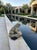 Stone Vintage-Style Large Cast Stone Frog Fountain Spouter For Sale - Image 7 of 9